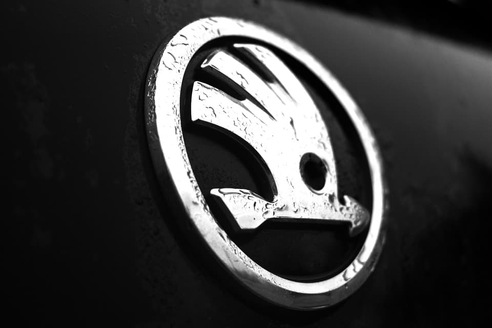 The Skoda logo on a car
