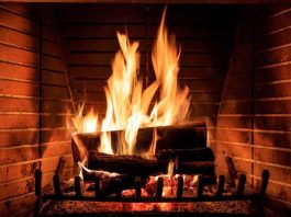 Discover All About Fireplace Screens