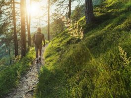 Unlocking the Healing Power of Nature The Mental Health Benefits of Outdoor Activities