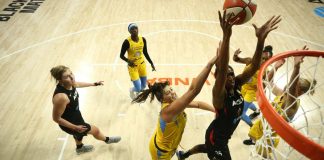Everything You Need to Know About the WNBA