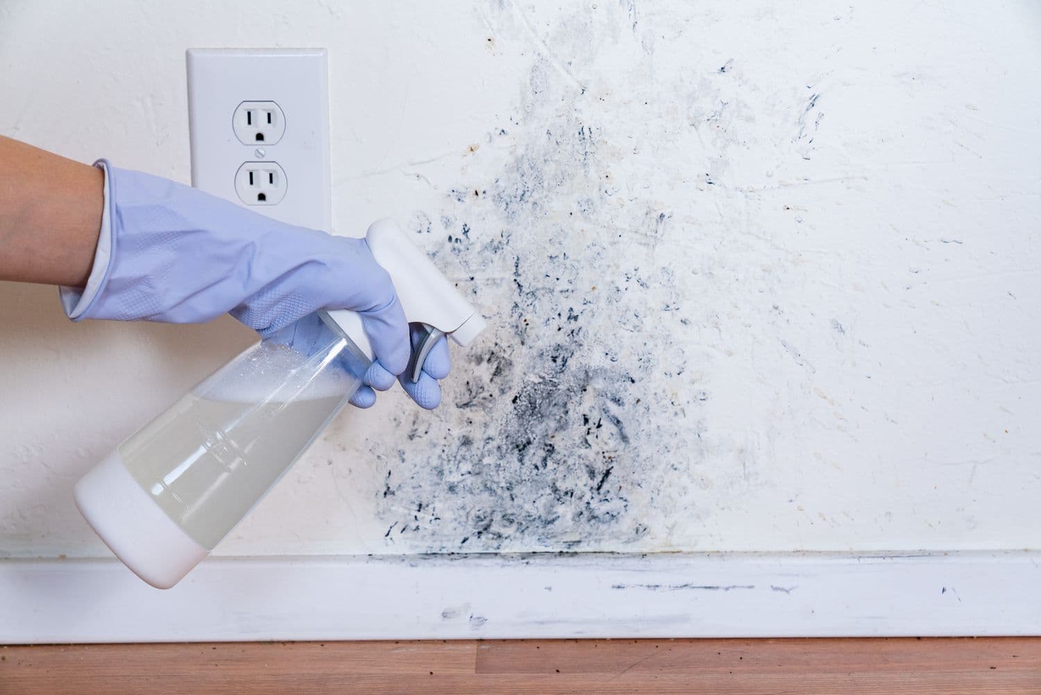 How to Removing Mold from Your Home?