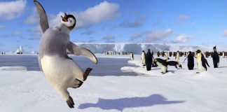 Review of Happy Feet