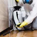 What are Important Points to Consider While Hiring Pest Control Services